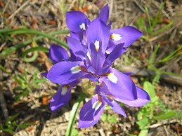 Hotel El Refugio de Juanar