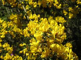 Hotel El Refugio de Juanar