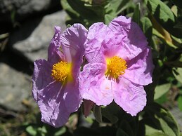 Hotel El Refugio de Juanar
