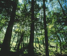 Hotel El Refugio de Juanar