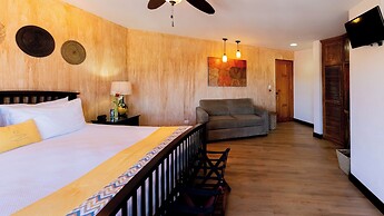 Buena Vista Chic Hotel