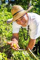 Tanoa Tusitala Hotel