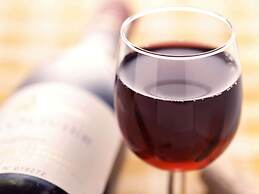 ibis Rio de Janeiro Santos Dumont