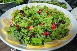 ibis Rio de Janeiro Santos Dumont