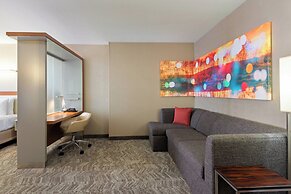 SpringHill Suites by Marriott Louisville Downtown