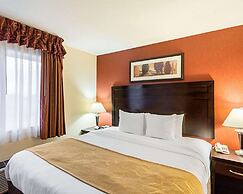 Comfort Suites Airport