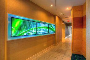 Springhill Suites by Marriott Tampa Brandon