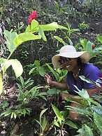 Fond Doux Eco Resort