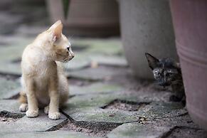 AMATAO Tropical Residence