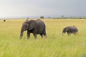 Muthu Keekorok Lodge, Maasai Mara, Narok