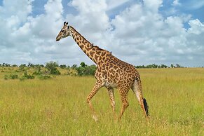 Muthu Keekorok Lodge, Maasai Mara, Narok