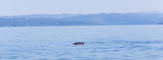 Stonefield Castle Hotel