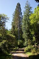 Stonefield Castle Hotel