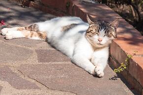 Hotel Residence La Villetta