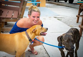 Dockside Inn & Resort