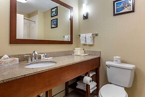 Comfort Suites Clayton - Garner