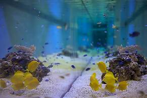 HOTEL UNIVERSAL PORT