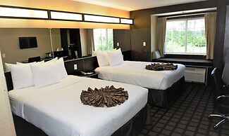 Microtel Inn & Suites by Wyndham Jacksonville Airport