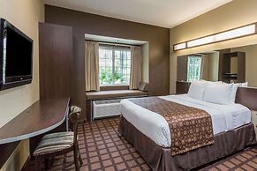 Microtel Inn & Suites by Wyndham Jacksonville Airport