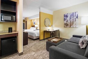 SpringHill Suites by Marriott Wheeling Tridelphia Area