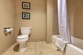 Comfort Suites Goodyear - West Phoenix