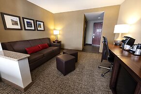 Comfort Suites Goodyear - West Phoenix