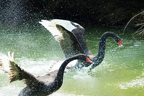 Dongguan Forum Hotel and Apartment