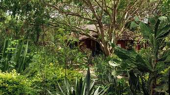 Kia Lodge