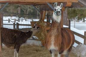 Appart- und Wellnesshotel Charlotte