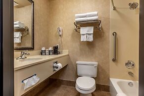 Comfort Inn & Suites Russellville I-40