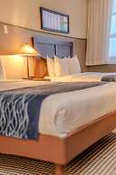 Comfort Inn & Suites Levittown
