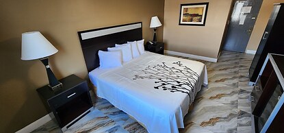 Townhouse Inn & Suites