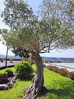 Palacio de La Magdalena Hotel