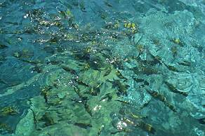 Tropicana Lanta Resort