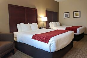 Comfort Inn Marrero - New Orleans West