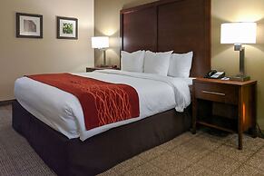 Comfort Inn Marrero - New Orleans West