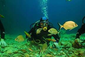 Kalypso Cretan Village Resort and Spa