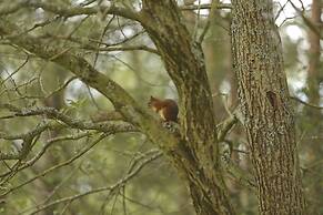 Aviemore Youth Hostel