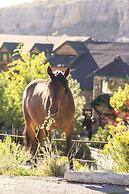 The Retreat on Charleston Peak