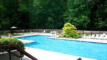 Foxhunt at Sapphire Valley