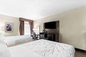 Best Western Boerne Inn & Suites