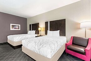 Best Western Boerne Inn & Suites