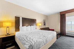 Best Western Boerne Inn & Suites