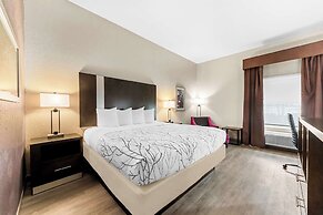 Best Western Boerne Inn & Suites