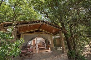Fig Tree Camp