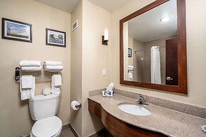 Comfort Suites University