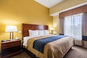 Comfort Inn & Suites
