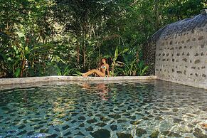 Buena Vista del Rincon Eco Adventure Park, Hotel & Spa