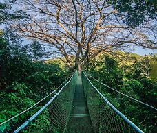 Buena Vista del Rincon Eco Adventure Park, Hotel & Spa