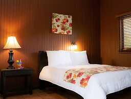 Buena Vista del Rincon Eco Adventure Park, Hotel & Spa